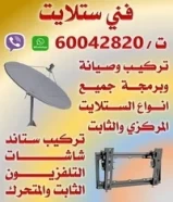 فني ستلايت مصري60042820