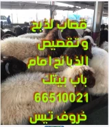 Butcher butcher for slaughtering and cutting carcasses in front of your door. Zabih for sale with delivery to all areas of Kuwait