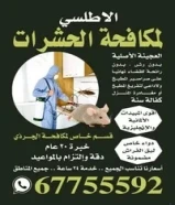 مكافحة حشرات وقوارض شركة الاطلسي جميع مناطق الكويت خدمة 24ساعه رش بدون رئحه مع كفاله سنه
