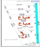 للبيع مزرعة بالوفرة ١١ الف طريق ٤٠٠ مباشر تحويل رسمى شركات نباتية