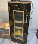 فقاسة بيض دجاج