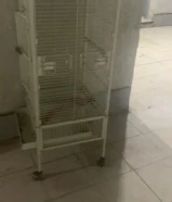 قفص طيور .