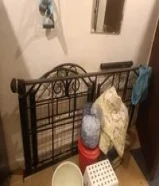 Cot for sale