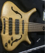 Warwick 5 strings Bass