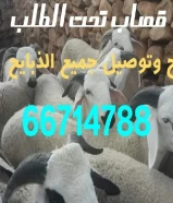 قصاب تحت الطلب ذبح وتوصل