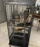 اقفاص طيور كبيرة