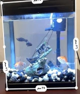 حوض سمك للبيع