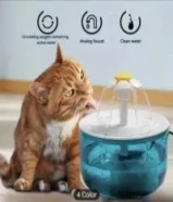 used water fountain ,New bowl, New scratcher