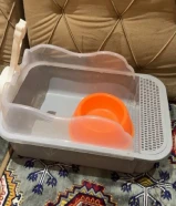 مسلتزمات قط