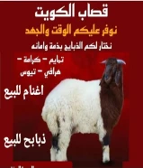 قصاب الكويت