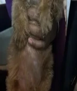 توي بودل عمره شهرين ومطعم معاه جوازه واغراضه
