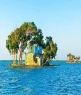 للايجار عمارات وشقق للشركات عمال فنيين مهندسيين