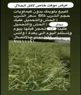 للبيع شروب بلوبنك( الوفرة )