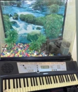 بيعه سريعه حوض سمك وجهاز بيانو كالجديد (السعر نهائي)