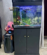 حوض سمك بكامل اغراضه مع طاوله وخزانه تحته وفلتر كبير