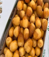 رطب اخلاص وادي الدواسر