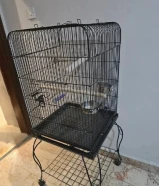 قفص للبيع مستعجل بحالة جيده جدا