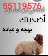 اضاحي العيد ٥٥١١٩٥٧٦