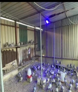 للبيع حمام لاحم سلفر فرنسي