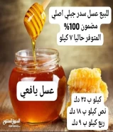 عسل سدر جبلي اصلي مضمون 100%