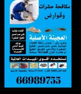 مكافحة حشرات وقوارض في الكويت