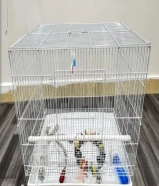 A large-sized rectangle bird cage for sale.