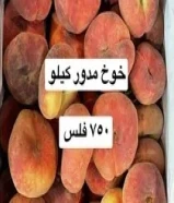 لوجي للخضار والفواكه