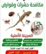 مكافحة جميع الحشرات والقوارض جميع مناطق الكويت كفاله سنه علي جميع أعمالنا96767047
