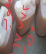 عسل سدر ملكي حضرمي علب