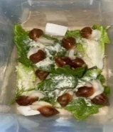 حلزون البينو