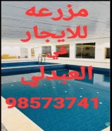 للايجار مزرعه في العبدلي 98573741