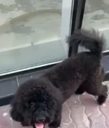 جلاب للبيع حط سعرك علي اللي يعجبك و انشاالله بياع باذن الله