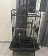 للبيع فقص طيور و حيوانات أليفة