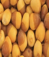 رطب خلاص- روتانا