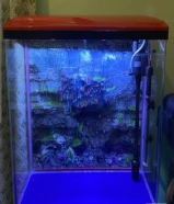 Aquarium full set for sale