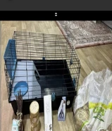 Voltrega rabbit cage and accessories