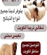 للبيع ذبايح نعيمي محلي وشفالي ومنادي