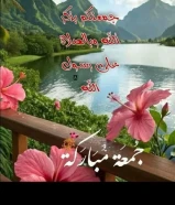 طيور كناري