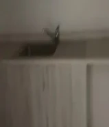 للإيجار شقق وعمارات بالمهبوله