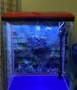 Aquarium full set for sale