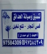 تنسيق وصيانة الحدائق قص أشجار شلع نخيلمعلم أبو حمدان