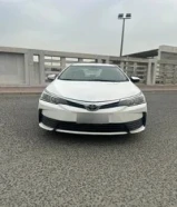 كورولا 2019