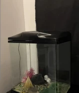 حوض كبير ممتاز