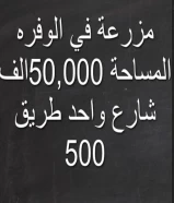 مزرعة في الوفره المساحة 50,000الف شارع واحد طريق 500