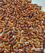 Different Kind of Dates Available in Bulk