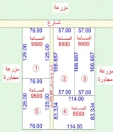 مزارع بالوفرة مساحة 9500