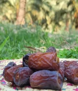 بيع التمر بالجملة والتصدير بدون وساطة" "نحن نقدم أفضل أنواع التمر للبيع بالجملة والتص