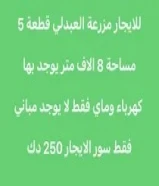 لايجار مزرعه العبدلي قطعه ٥