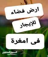 ارض 1000م للإيجار فى امغرة