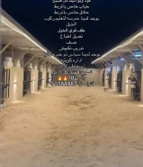 مربط العضيلة